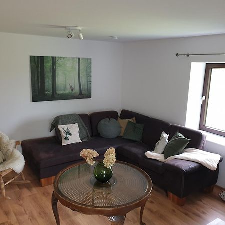 Apartament Osteblick Oberndorf  Zewnętrze zdjęcie